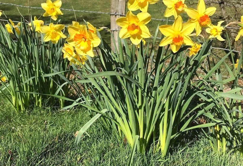 Cwm Chwefru Holiday Cottages