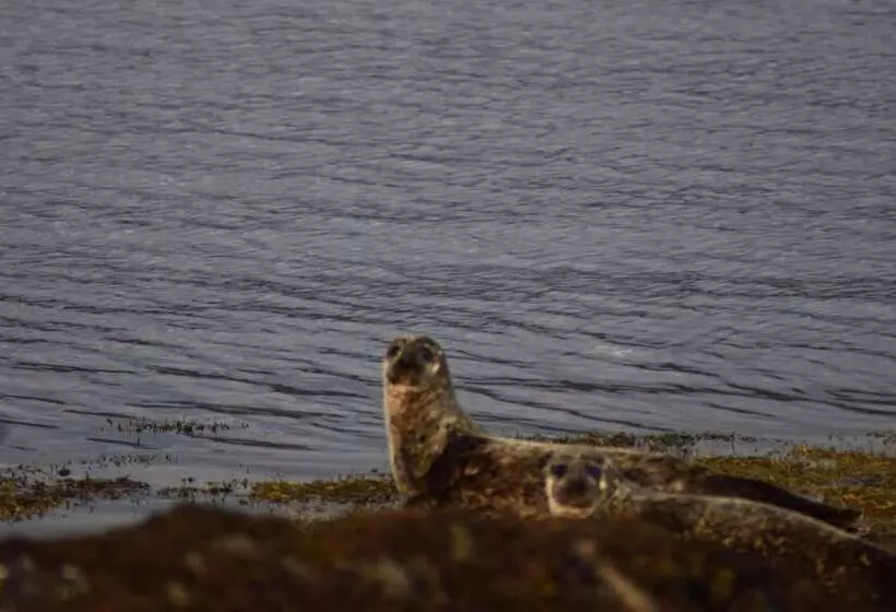 Glamping Pod For 2, Pod Beag Na Haun, Eriskay