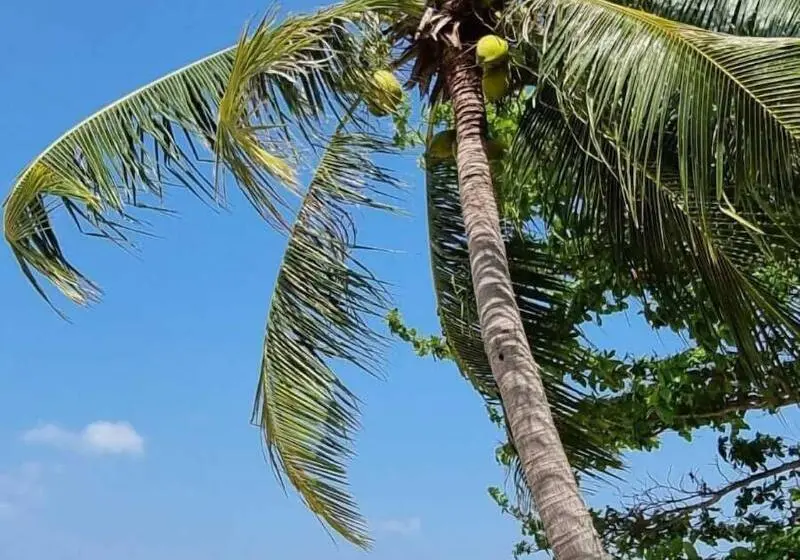 Hotelli Soul Villas By The Beach  Phuket
