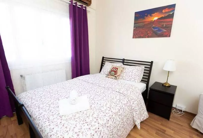 پانسیون Aladdin S Hostel