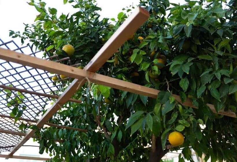 Majatalo Aladdin S Hostel