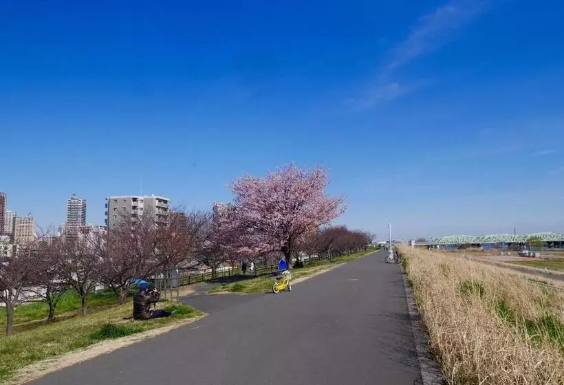 پانسیون Kriness