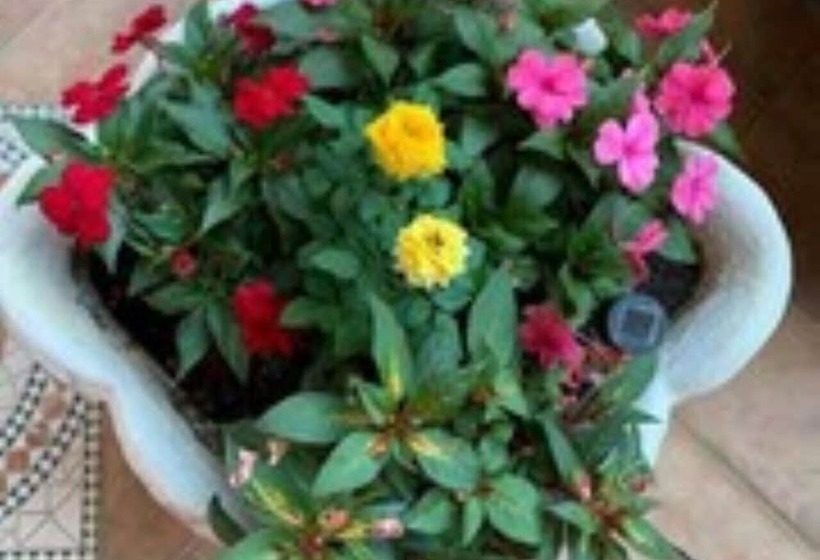 پانسیون Rooms Kuljic