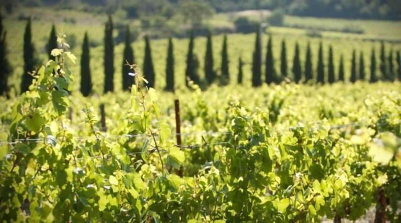 تختخواب و صبحانه Chateau De Raissac