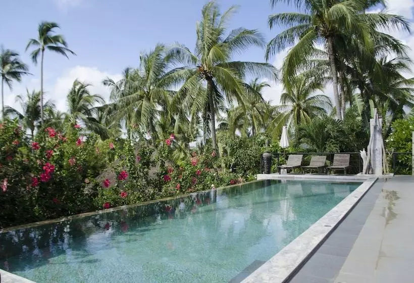 Hotelli Orchid Lodge