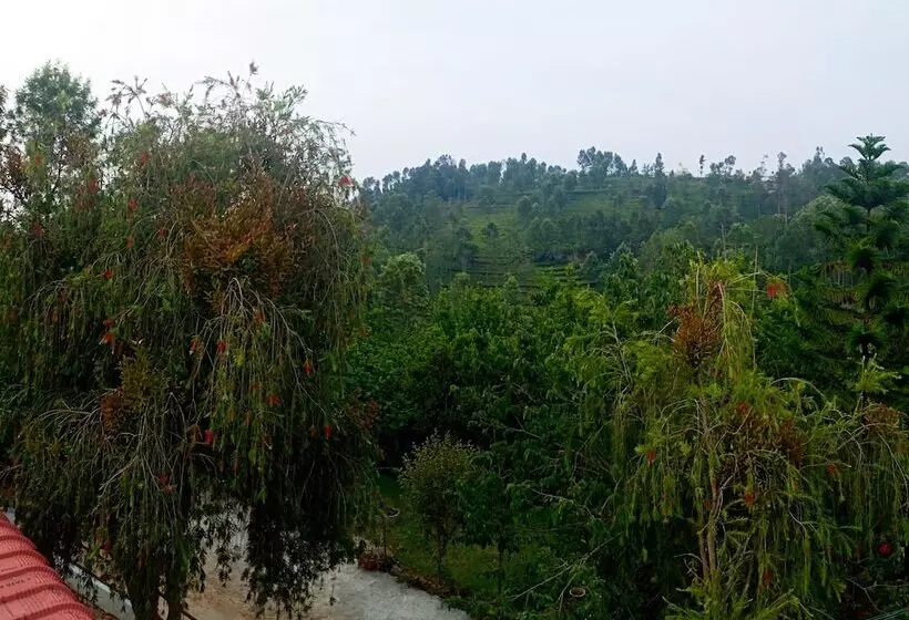 Hotelli Pear Tree Inn