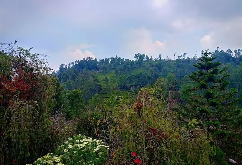 Hotelli Pear Tree Inn