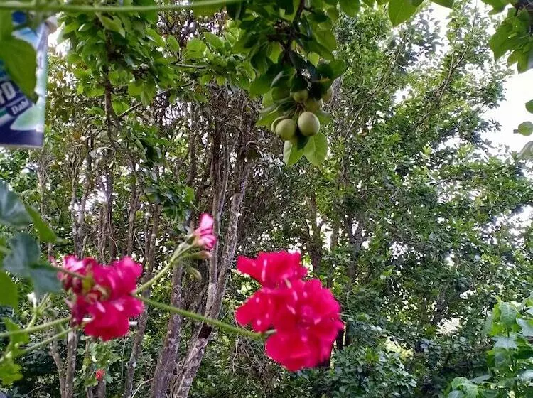 Hotelli Pear Tree Inn