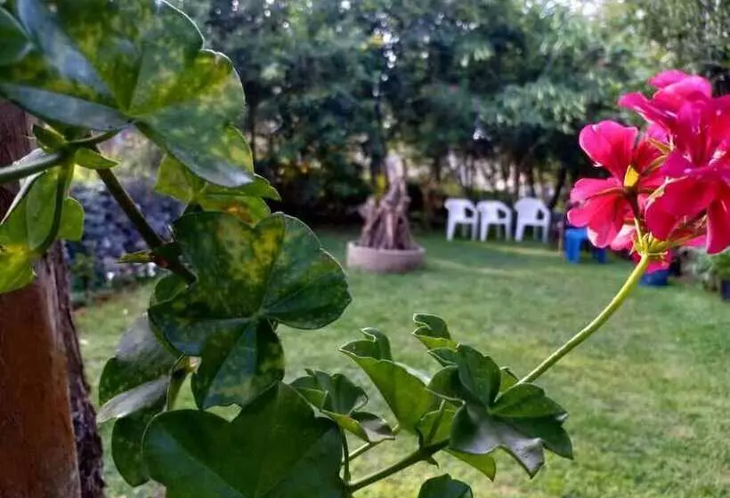 Hotelli Pear Tree Inn