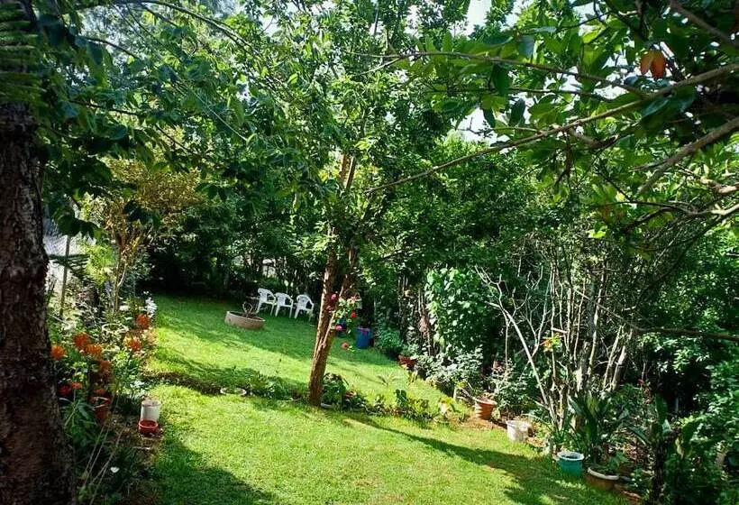 Hotelli Pear Tree Inn