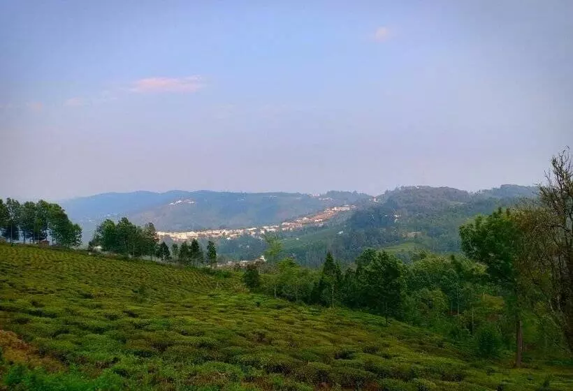 Hotelli Pear Tree Inn