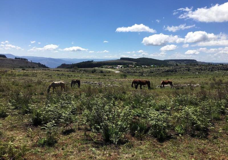 펜션 Cabin&cottage Kaapsehoop