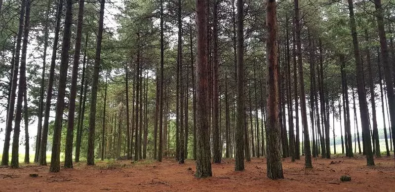 پانسیون Cabin&cottage Kaapsehoop