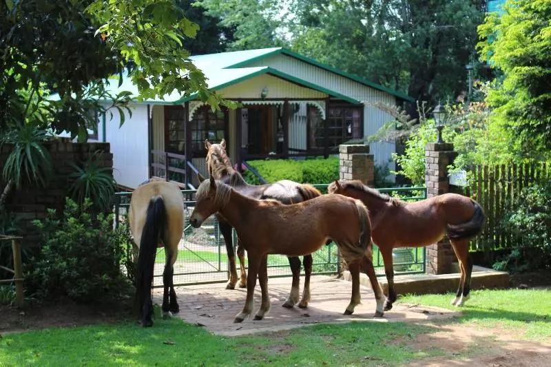 پانسیون Cabin&cottage Kaapsehoop