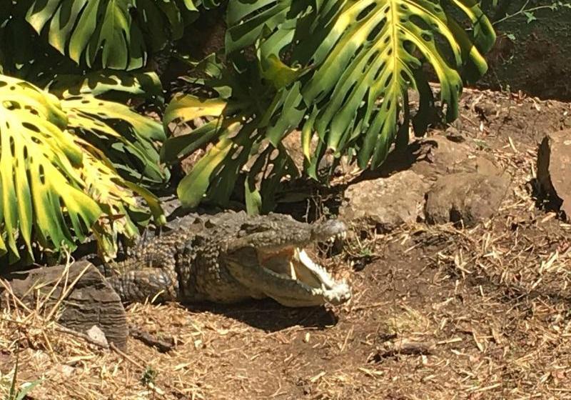 펜션 Cabin&cottage Kaapsehoop