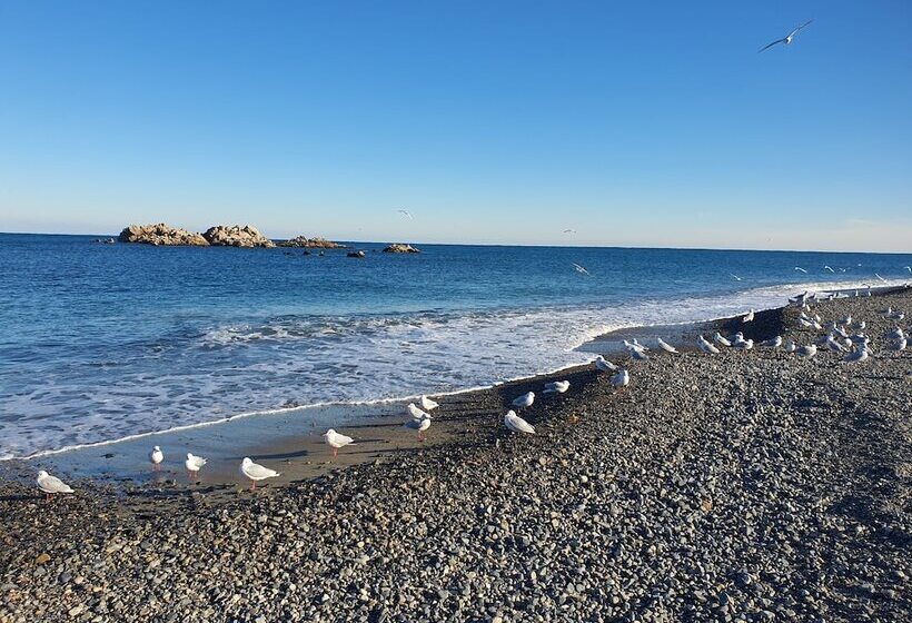 پانسیون Ulsan Guest House Baehohanmaru