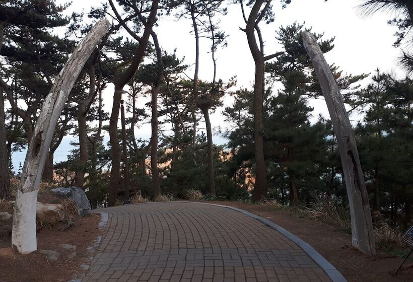 پانسیون Ulsan Guest House Baehohanmaru