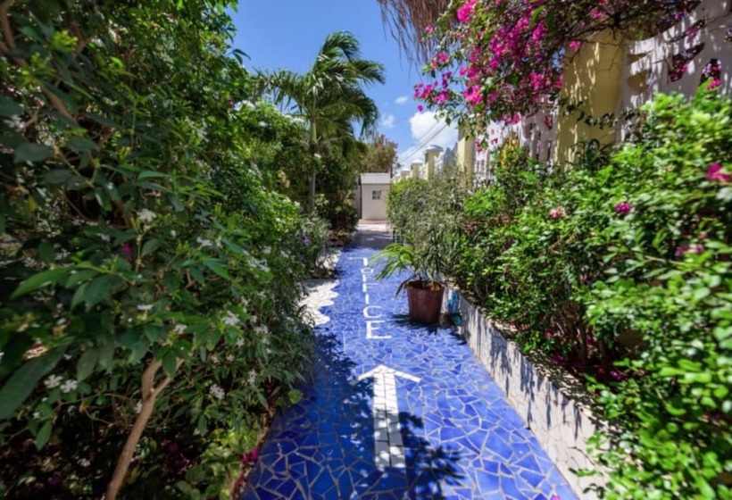 Sunflower Villa Studios By Cmd