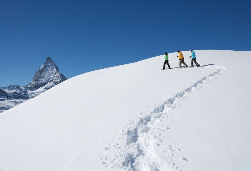 فندق Aristella Swissflair