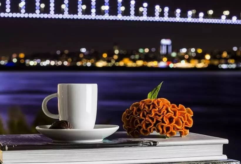 ホテル Bosphorus Palace
