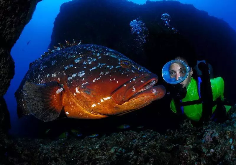 호텔 Dom Pedro Garajau