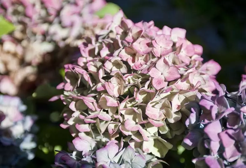 Отель Ernst Sillem Hoeve