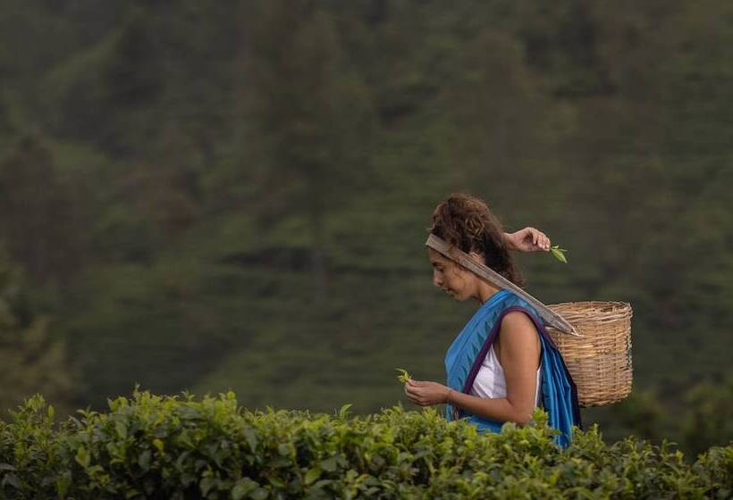 Hotel Heritance Tea Factory