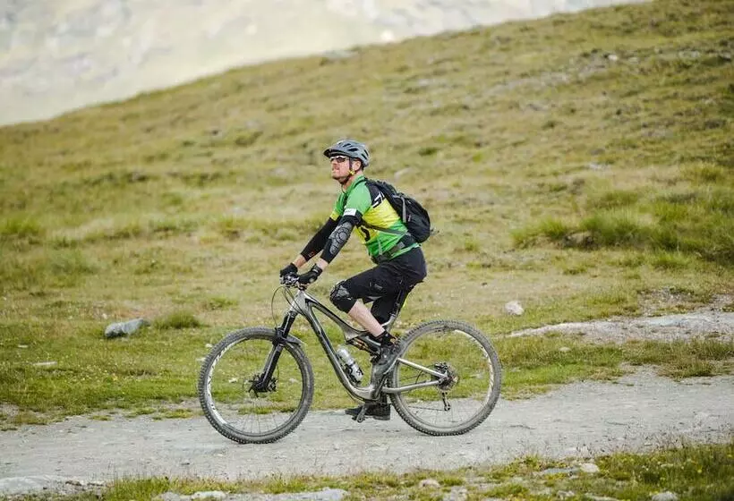 Resort Hotel Alex Zermatt