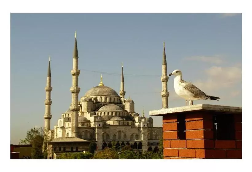 ホテル Uyan   Special Class