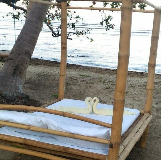 Bed and Breakfast Harmony Estate   Exclusively Yours