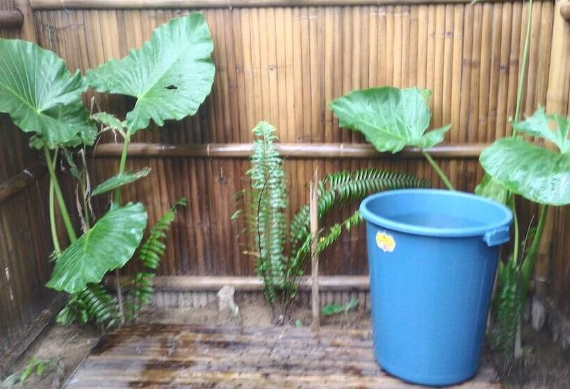 Bed and Breakfast Harmony Estate   Exclusively Yours