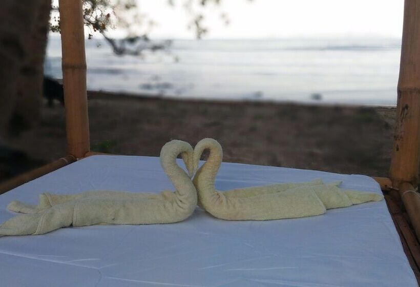 Bed and Breakfast Harmony Estate   Exclusively Yours