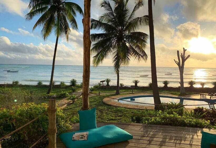 膳宿费 Beach House Michamvi