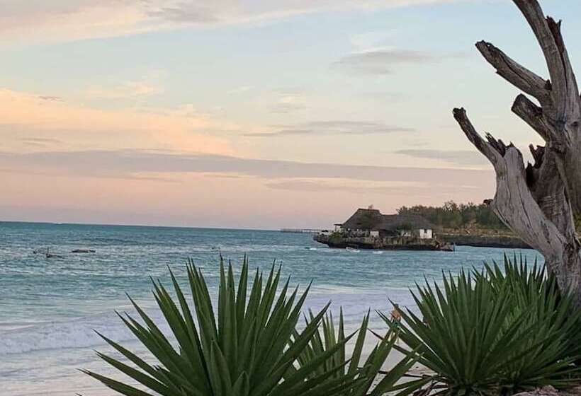 膳宿费 Beach House Michamvi