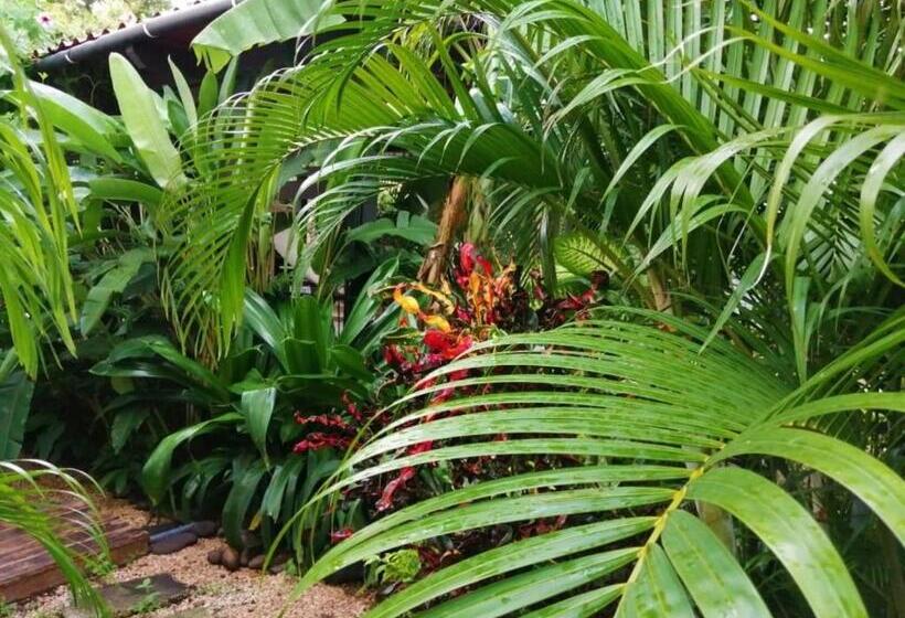 بنسيون Suite Paraiso Azul