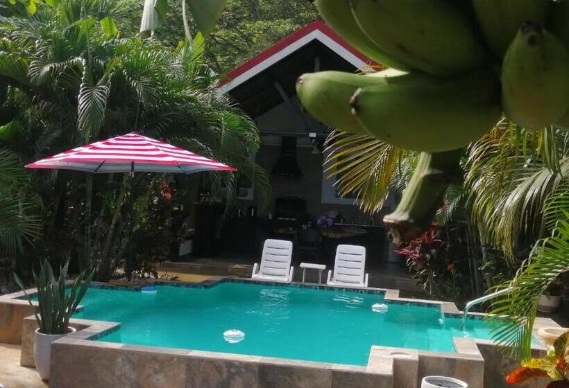 بنسيون Suite Paraiso Azul