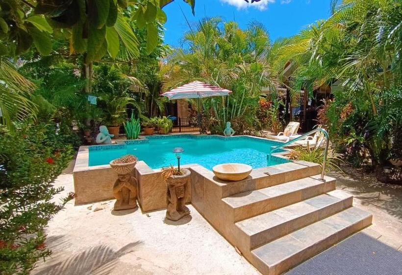 بنسيون Suite Paraiso Azul