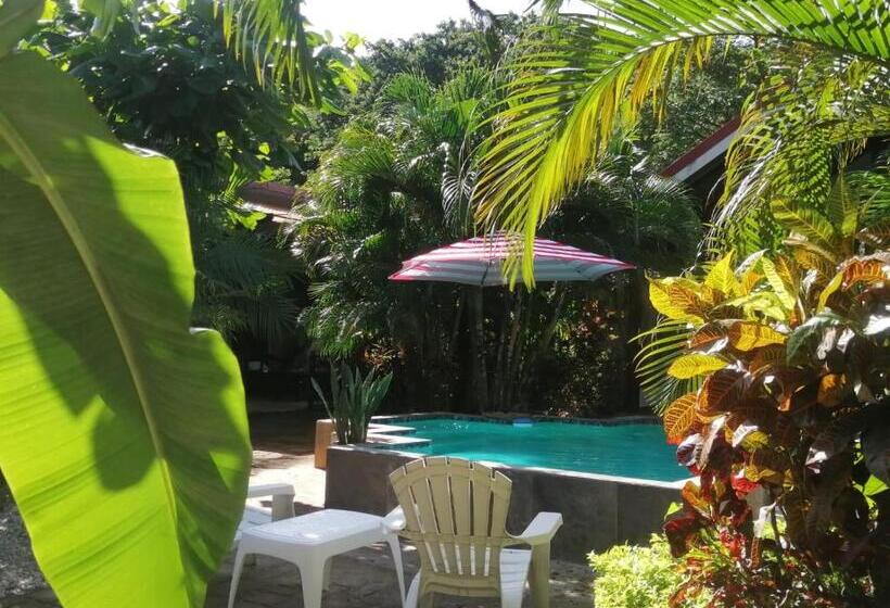 بنسيون Suite Paraiso Azul