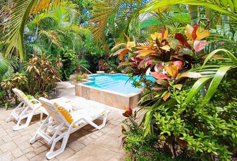 بنسيون Suite Paraiso Azul