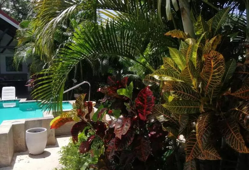 Majatalo Suite Paraiso Azul