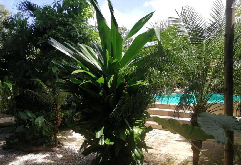 بنسيون Suite Paraiso Azul