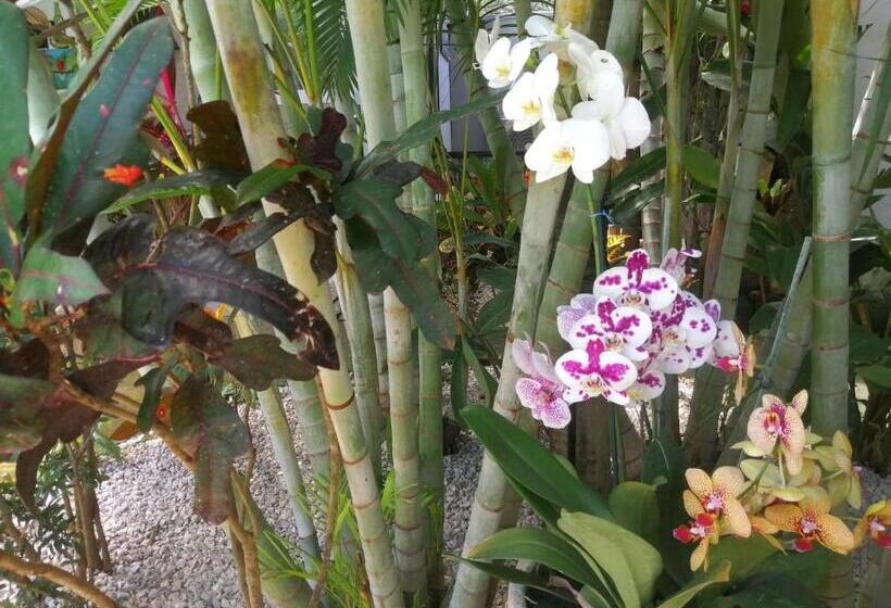 بنسيون Suite Paraiso Azul