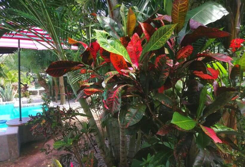 بنسيون Suite Paraiso Azul