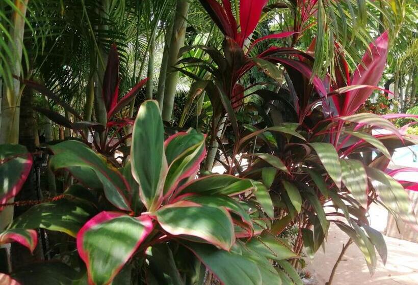 بنسيون Suite Paraiso Azul