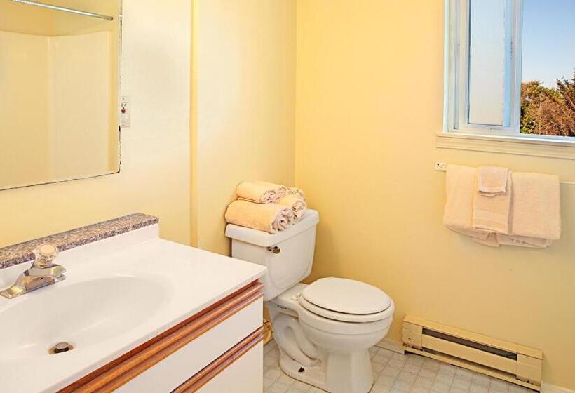 فندق صغير Maris Stella Inn