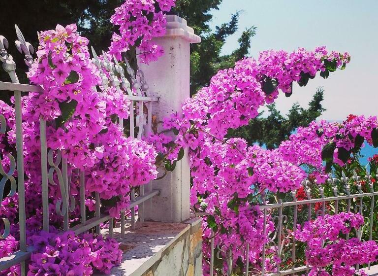 تختخواب و صبحانه Perivolos Apartments