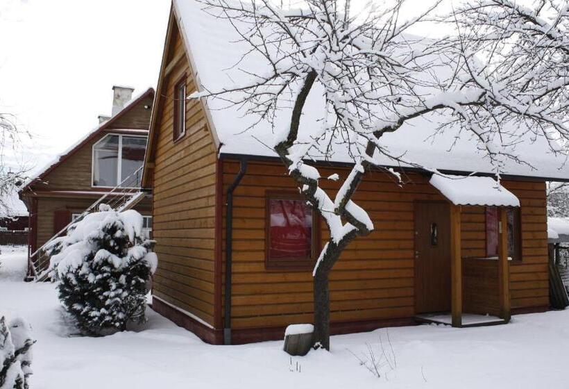 هتل The Jolly Man