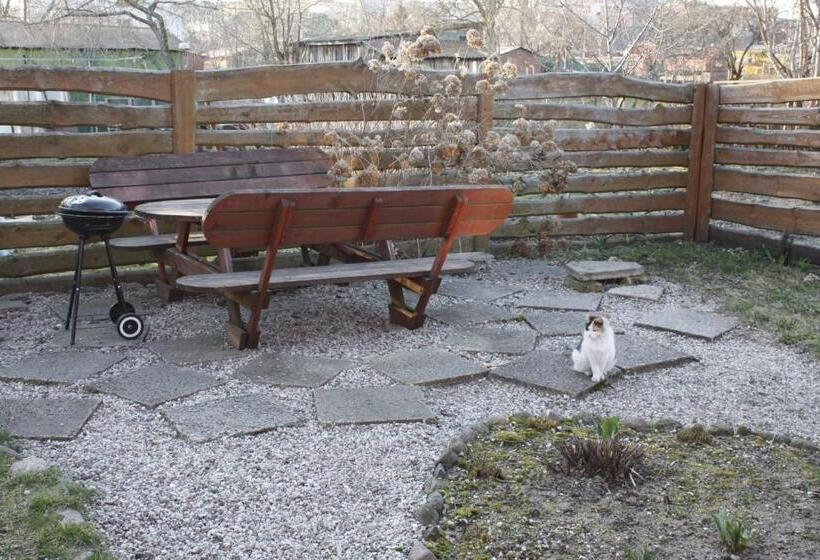 هتل The Jolly Man