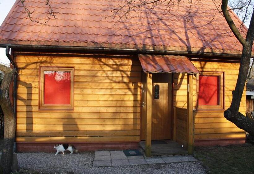 هتل The Jolly Man