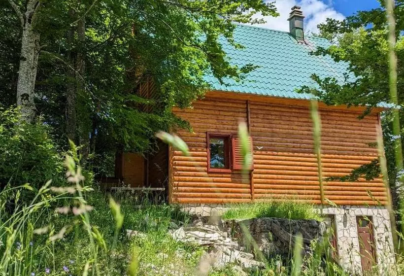 پانسیون Apartments Nikcevic Zabljak